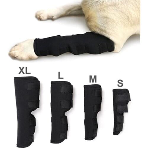Protect Wounds Keep Your Dog Active Heals and Prevents Injuries and Sprains Helps Arthritis Professional Vet Recommended