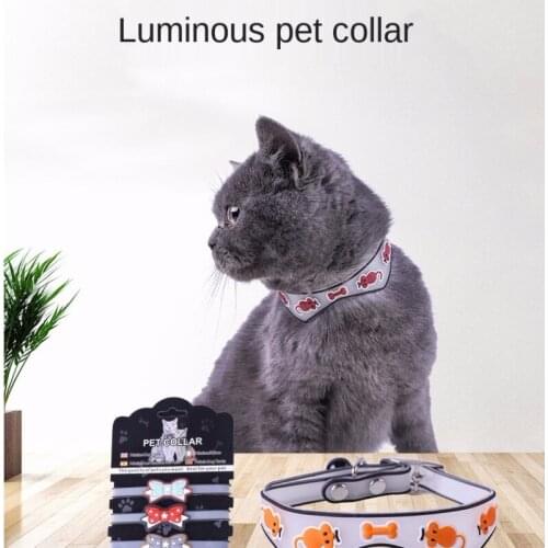 Kitten collar Kitten accessories Dog collar New fluorescent silicone collar for cats and dogs