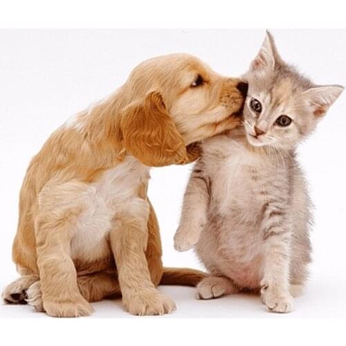 Dog,Diamond Embroidery,Mosaic,Wall Decor,DIY,Rhinestones,Pasted,Diamond Painting,Cross Stitch,Animal,Series,Needle Gifts -LH-013