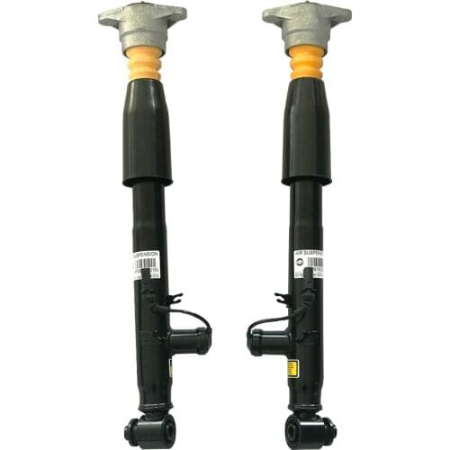 4F0616032F 4F0616031F For A6 AUDI A6/AVANT D 2005-2008 Rear Pair Air Suspension Shock Absorber Struts