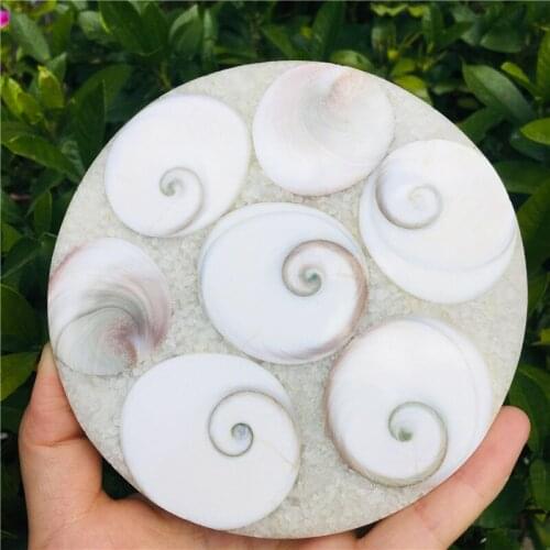 Madagascar natural spiral disc jade spiral disc household feng Shui put