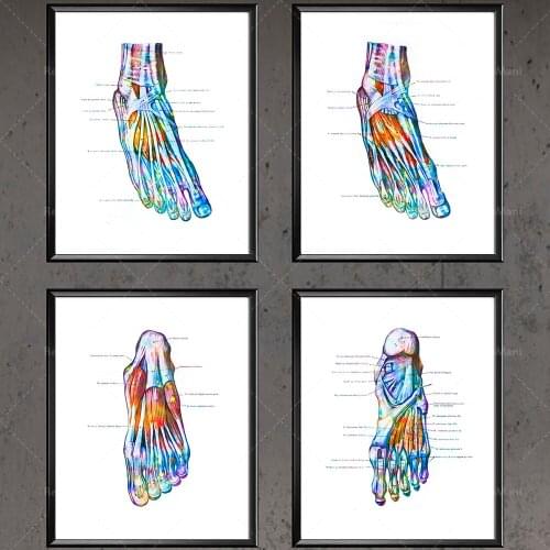 Anatomical Foot Watercolor Print Podiatrist Gift Orthopedist Gift Doctor Office Decor Clinic Wall Art Chiropractor Gift Medicine