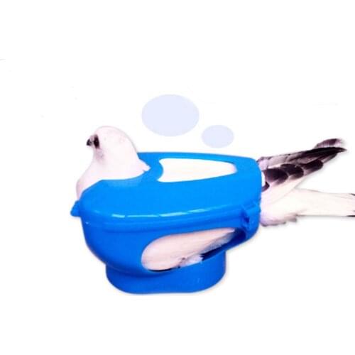 Pigeon Tools Fixed box Feed Pigeon given medicines device Blue Pigeon Equipment Bird holder Free shipping