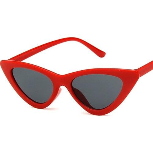 Classic fashion Cat eye Anti-Reflective women Sunglasses vingate plastic Leopard Tea mirror Sun Glasses adult glasses uv400