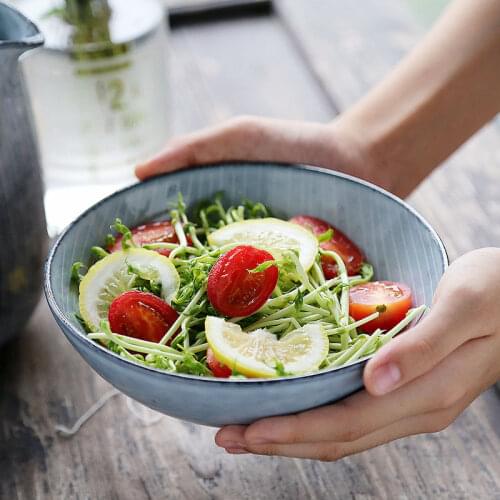 Japanese retro dish bowl soup bowl dessert bowl home noodle bowl creative fruit salad bowl student instant noodle bowl