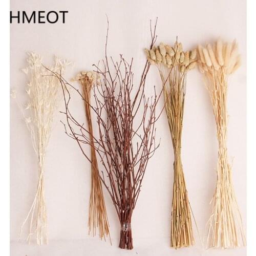 Natural Dried Flower Pampas Grass Setaria Reed Wedding Eucalyptu Wheat Bouquet Plants DIY Craft Scrapbook Photo Props Home Decor