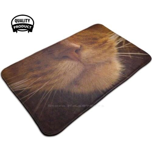Abyssinian Cat Face Protective Mask 3 Sizes Home Rug Room Carpet Cat Abyssinian Abyssinian Cat Pet Animal Funny Cat Lovers Idea