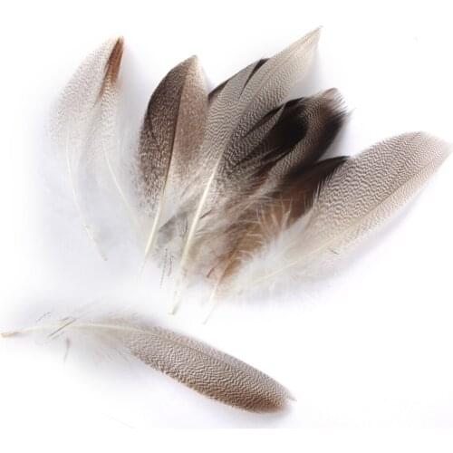 Cheap! 20 / 50 pcs 7-12cm duck feathers/ plumes for wedding crafts DIY decorations,cosplay,cloth accessories plumas