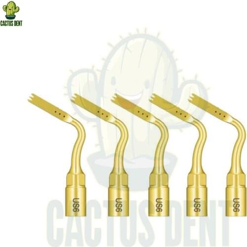 Dental Piezo Scaler Ultrasonic Surgery Surgical Tips Insert Bone Cutting US6 / Orthodontic Microsurgery Saw Piezosurgery Mectron