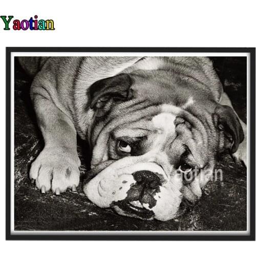 Pet photo customization 5d Diamond Painting Shar Pei Full Square Diamond Embroidery Mosaic Diamond Pictures Of Rhinestones