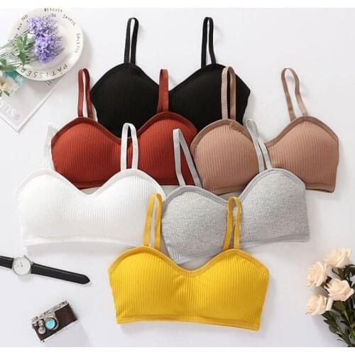 Padding Bralette Push Up Bras For Women Wire Free Bra Brassiere Seamless Underwear Comfort Intimates Female Bra Sexy Lingerie