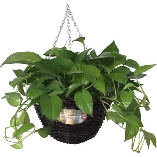 Manual rattan woven flower basket green rose hanging orchid hanging flower pot hanging wall hanging flower pot