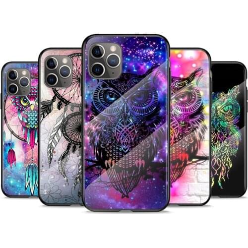 Tempered Glass Cover Owl catcher For Apple iPhone 12 11 8 7 6 6S XS XR SE X 2020 Pro Max Mini Plus Phone Case