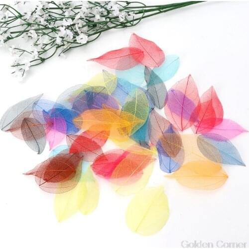 50 Pcs Mixed Color Natural Skeleton Leaves Pressed Flower for Jewelry Making Jy08 20 Dropship