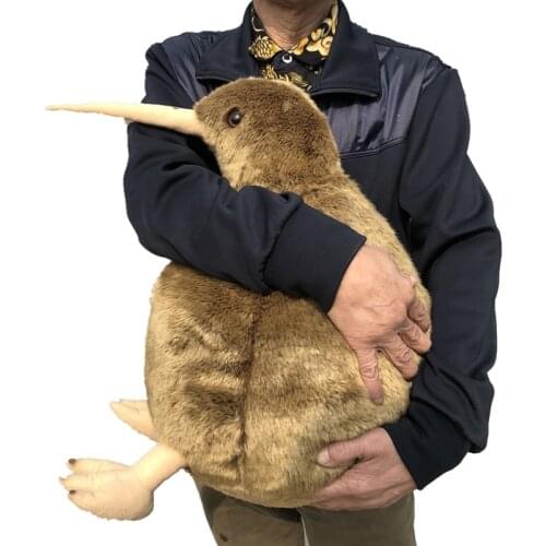 Big Simulation KIWI Bird Doll Animal Kiwi Bird Plush Toys Realistic Animals Plush Toys Gifts Deco 20inch 50cm DY50603