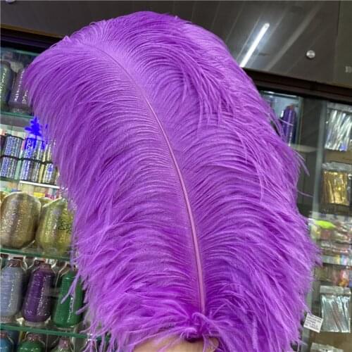 Sale 50pcs/lot Purple High Quality Ostrich Feather 65-70cm/26-28inch Celebration Carnival Diy for Plumes Feathers for Crafts