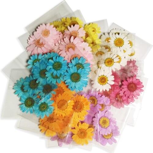 Dried flowers MIX Colors Chrysanthemum paludosum 300packs 1800pcs pressed flower