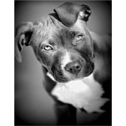 5d diamond painting full drill square Black and White Pit Bull dog Diamond Embroidery Animal Pitbull Dogs Rhinestone Mosaic gift