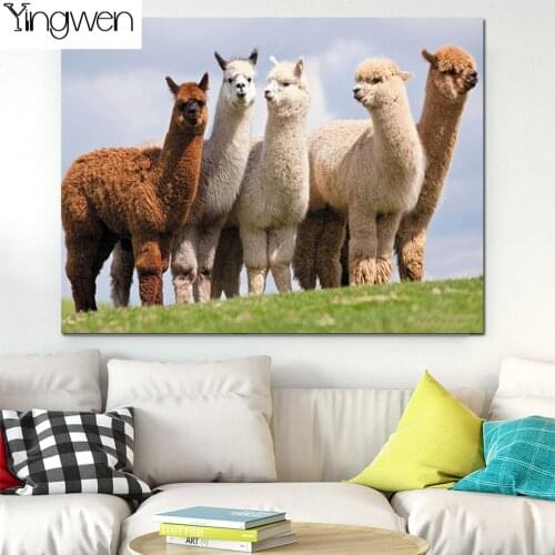 5D Diy Diamond Painting Alpaca Full Diamond Mosaic 3D Needlework Diamond Art Cross Stitch Beads Embroidery Decor Animal Pictures