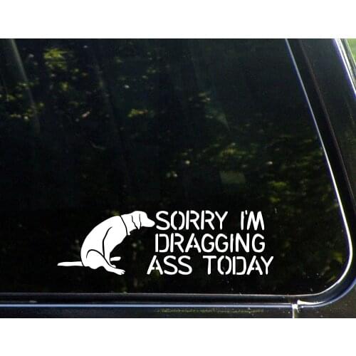 Sorry I'm Dragging Ass Today Die Cut Decal Bumper Sticker For Windows 20cm