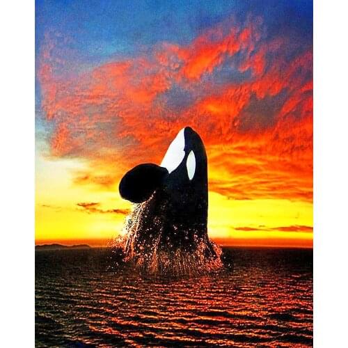《Whale from sea to sky》 picture painting by numbers home decor birthday present quadros decorativos