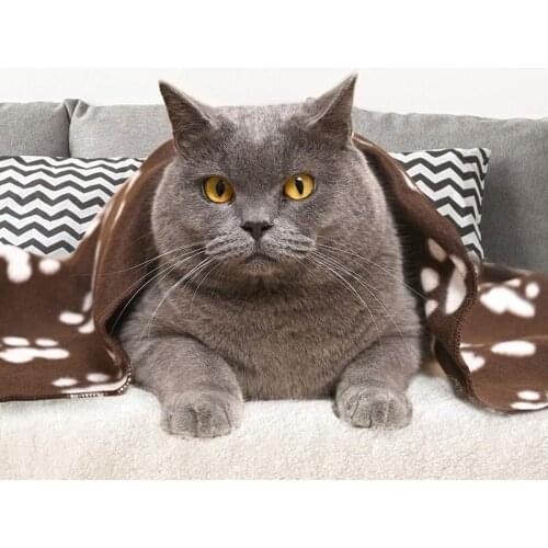 Pet paw print blanket pet blanket cat and dog mat nest dirt-resistant and durable pet blanket available in all seasons