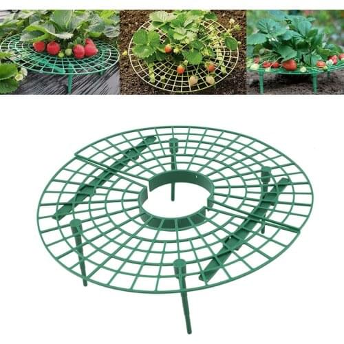 Strawberry Growing Circle Support Rack Tray Gardening Balcony Fruit Vegetable Vine Plants Protective Frame Stand Holder