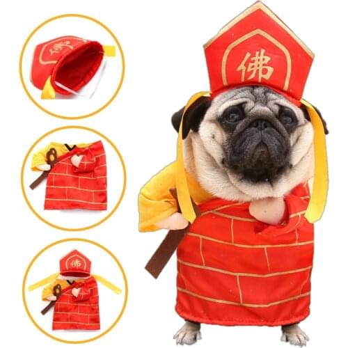 DownyPaws Clothes And Footwear For Dogs