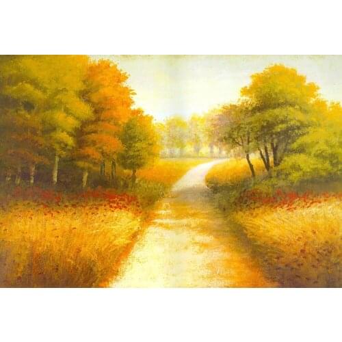 VinylBDS 16th Birthday Photography Backdrops Crown Custom Made Princess Backdrops For Photography Party Photo Studio Props