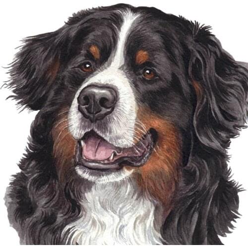 Diamond rhinestone DIY 5D Diamond Painting Puppy Bernese Mountain Dog Diamond Embroidery paintings 3d picture mosaic decor GH497
