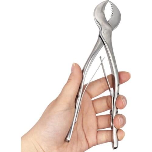 1pc Small 18cm long Dental Lab Gypsum Scissors Stainless Steel Dental Plaster Scissors Dentistry Material Lab Equipment Tools