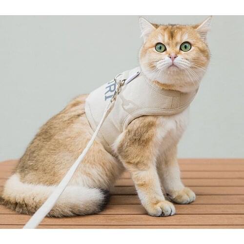 All Season Dog Cat Harness Leash Set PetVest Harness With Mesh Padded For Small Puppy Dogs Chihuahua Yorkies