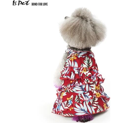 IS PET Pet Supplies