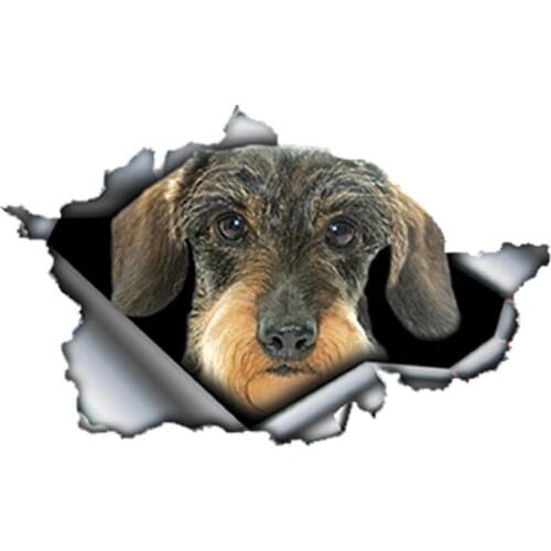 Hot Hot Sell Wire Haired Dachshund Vinyl Car Stickers Camper Sticker KK Vinyl Decals Waterproof for JDM SUV RV VAN