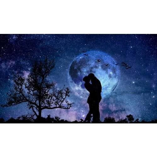 JMINE Div 5D Moonlight Loveer Kiss Tree Full Diamond Painting cross stitch kits art High Quality Scenic 3D paint by diamonds