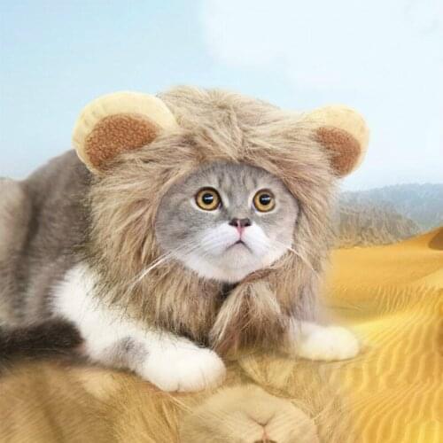 Lion Turned Hat Funny Dog Hat Cat Hat Pet Hat Warm Autumn and Winter Teddy Role Pet Play Clothes for Pets Headgear 2020 E11403
