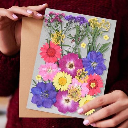 DIY Dried Flowers Resin Mold Fillings UV Expoxy Flower for Nail Art Pressed Flowers for Home Decor Handicraft Office Decor