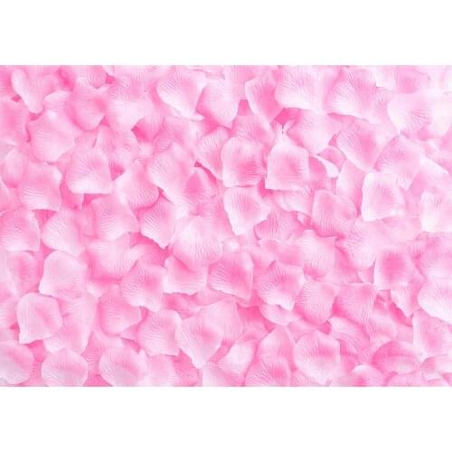 Photo Backgrounds Pink Petals Custom Vinyl Cloth Photography Backdrops for Wedding Lovers Valentines Day Photocall Photobooth
