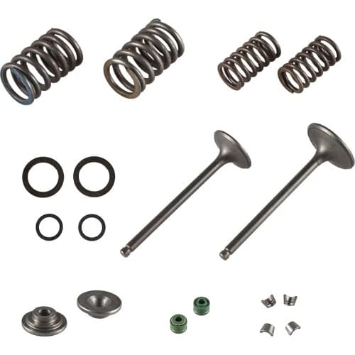 Pouvoir Valve Reduild Kit Intake Exhause Valve Springs CG250 250 ATV Dirt Bike Go Kart High Performance