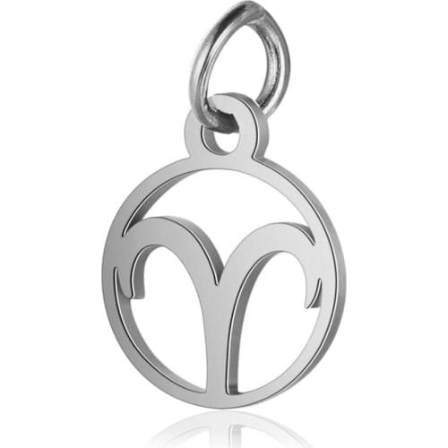 5pcs/lot Stainless Steel 12 Zodiac Charm Constellation Charms with Jump Ring for DIY Making Jewelry Accessories 11*16mm