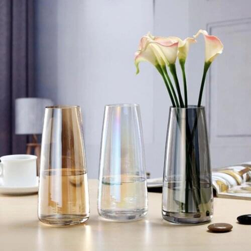 Nordic Transparent Glass Vases Living Room Table Decoration Water Hydroponics Dry Flower Vase Creative DIY Bottle