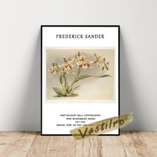 Henry Frederick Sander Poster, Odontoglossum Hallii Xanthoglossum Wall Painting, Reichenbachia Orchids Plant Flower Art Prints
