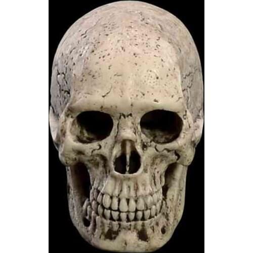 1:6 Scale Skull Head Carving Male Scene Props Head Sculpt Carved Ancient Scene Fit 12inch Action Figure Toys Doll
