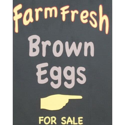 TIN SIGN "Farm Fresh Eggs Brown" Food Rustic Wall Decor