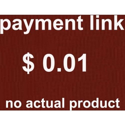Payment Link Only, No Actual Product Concerning