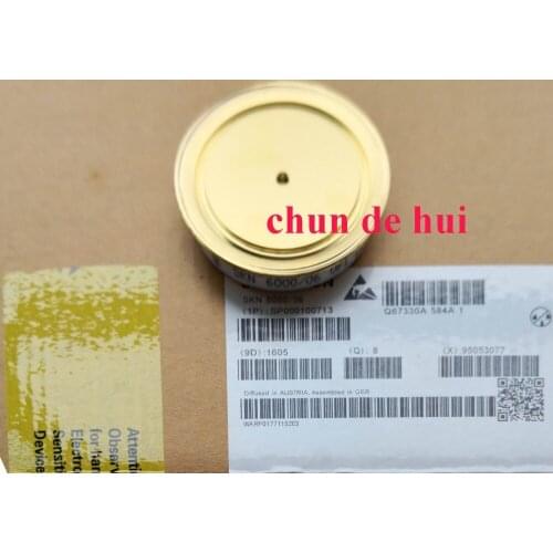 SKN6000/02 SKN6000/04 SKN6000/06 SKN6000/08 NEW Original goods