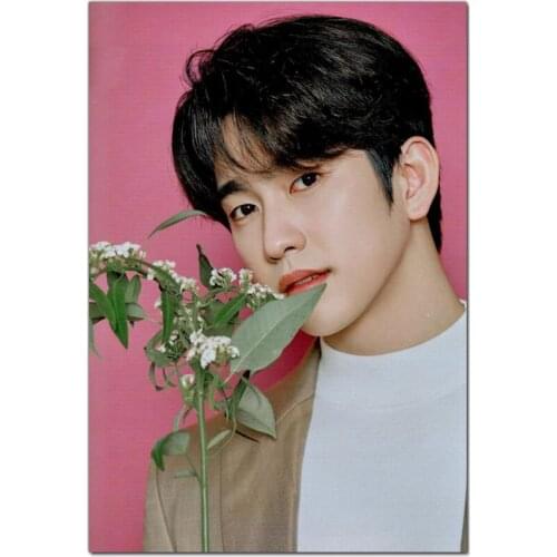 KPOP Park JinYoung Style Posters Wall Art Decor Picture Modern Home Room Decoration High Quality Canvas Painting 20x30cm,27x40cm
