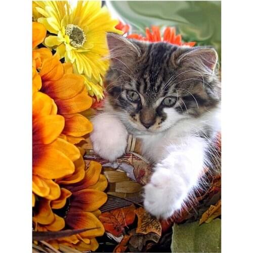 Lovely Kitten Round Diamond Artist Decorates Walls With Diamond Paintings Home / Hotel / Office Decorations And Gifts