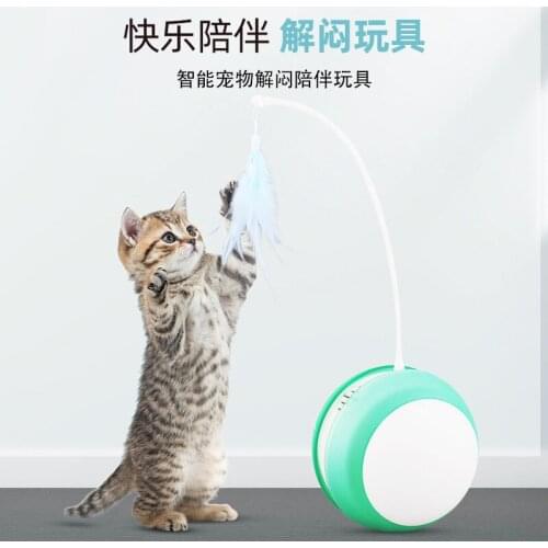 Led Rechargeable Electric Cat Toy Tumbler With Feather Fishing Pole Automatic Rolling Pet Toy