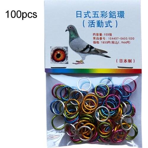 Let’s Pet Bird Rings